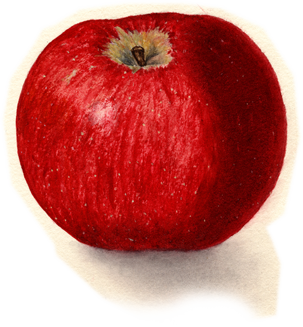 Apple Wedge Packers & Cider Hendersonville, NC